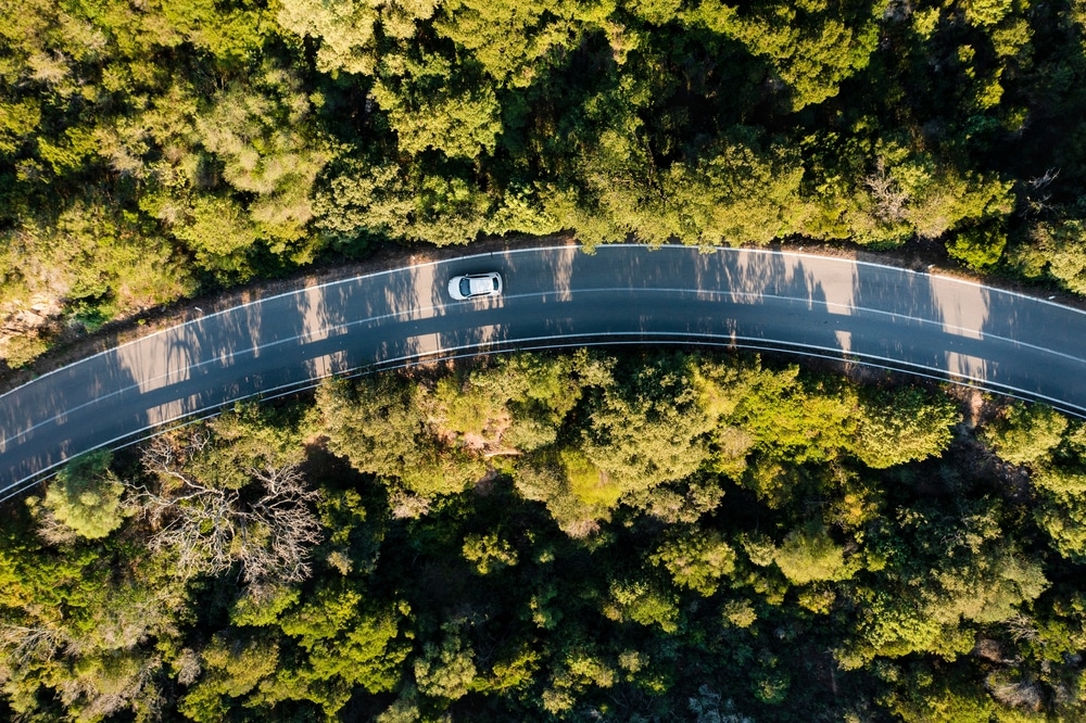 Die Bedeutung von Elektroautos für ein grüneres Morgen