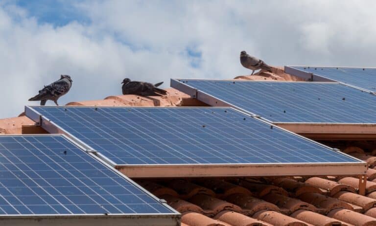 Die ökologischen Auswirkungen von Dach-Photovoltaikanlagen